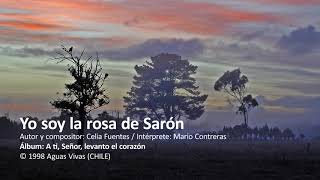 Video thumbnail of "Yo soy la rosa de Sarón"