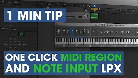 1 min TT   Step input in LPX
