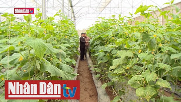 Đẩy mạnh phát triển nông nghiệp công nghệ cao