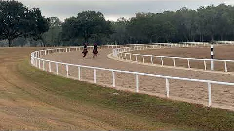 12/5/25 Not This Time Yearling