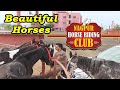 Nagpur horse riding club  beautiful horses