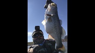 Best of 5 Bass Limit of 30.42 LBS!!!!     The Dirty Thirty