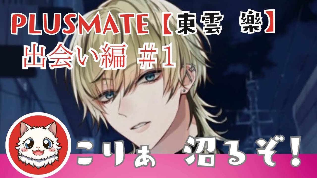 PLUSMATE 東雲樂 婚姻届 PLUSMATE プラスメイト 東雲樂 - メルカリ