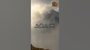إن الأبرار لفى نعيم - سورة المطففين - القارئ الشيخ ياسر الدوسرى