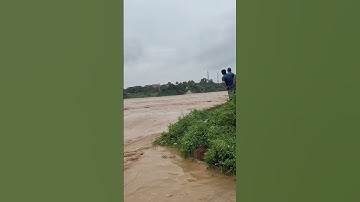 Nước chảy xiết thế này. Sập cầu Phong Châu Phú Tho