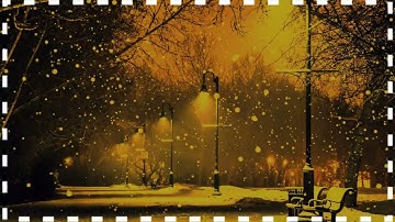 Border Nron Line 2224 muxed