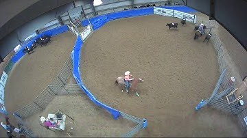 Big Sky Ranch Sorting Saddle Series #5 - OPEN -HC - Round #1 - Ride #20