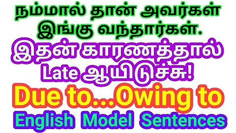 Because of | Due to | Owing to | Sen Talks Plus | Spoken English Model English Sentences