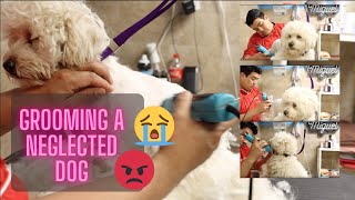 Shaving an extremely neglected dog then the owner blames me of abuse here's the video. by Dalilas Pet Grooming  1,240 views 3 years ago 12 minutes, 46 seconds