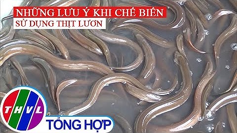 Những điều cần lưu ý khi chế biến và sử dụng thịt lươn