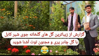 گزارش از گلخانه های جوی شیر در کابل / Report from flower shops in Kabul city