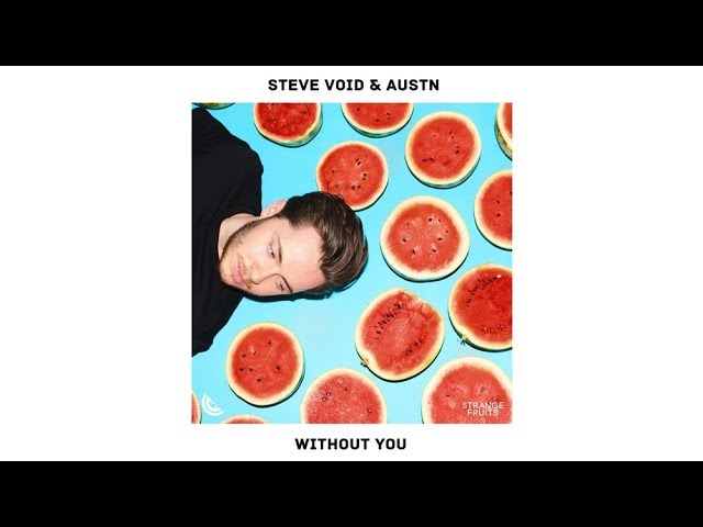 Steve Void & AUSTN - Without You (Official Audio) class=
