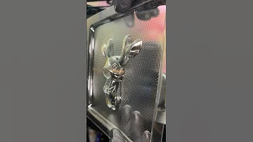 Making custom chocolate mold using 3D Printer Kobra 2 Neo and Mayku Form box