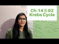 Ch-14 Respiration in plants || L-02 || Krebs cycle || NEET || Class 11TH || AIIMS