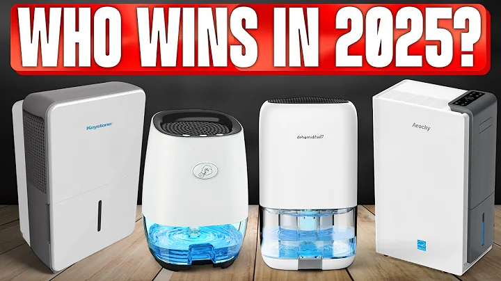 TOP 5 Best Dehumidifiers of 2025