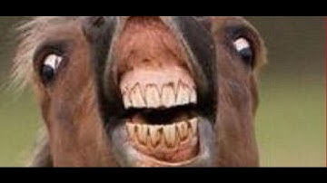 Battle With Rebleeh lol