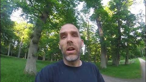 Learn Swedish or Norwegian? Or Icelandic?