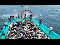 Wenn die Fischer DAS nicht mit der Kamera aufgenommen hätten, würde es niemand glauben!