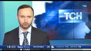 Собаки и волонтеры Собаки и волонтеры