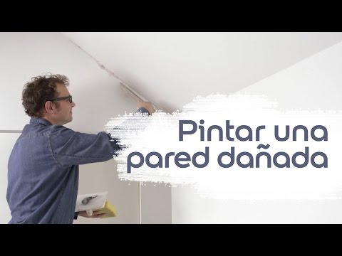 Vídeo Tutorial: Cómo