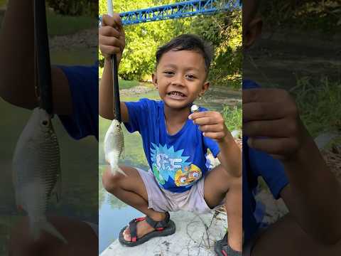 mancing lepas terus, alat ini solusinya #shortvideo #mancing #mancingmania #mancingmania #trending