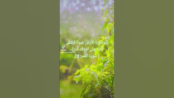 #القرآن_الكريم #قرآن #سورة_القمر #quran #коран #koran #explore #tiktok #viral