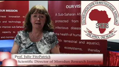Prof.  Julie FitzPatrick
