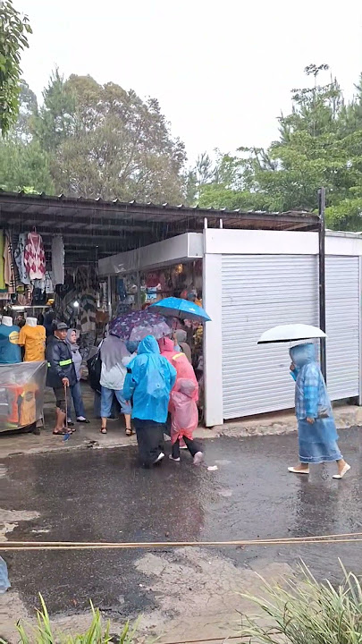 Glamping Lakeside situ Patenggang Ciwidey Bandung #wisataciwidey #wisatabandung #situpatenggang