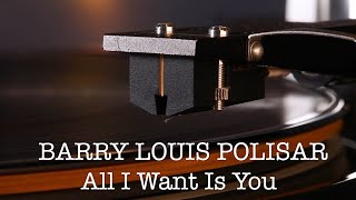 BARRY LOUIS POLISAR - All I Want Is You - 2007 Vinyl LP Juno Soundtrack