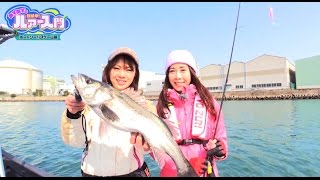 あずあずの超簡単！ルアー入門-ボートシーバス編-前編