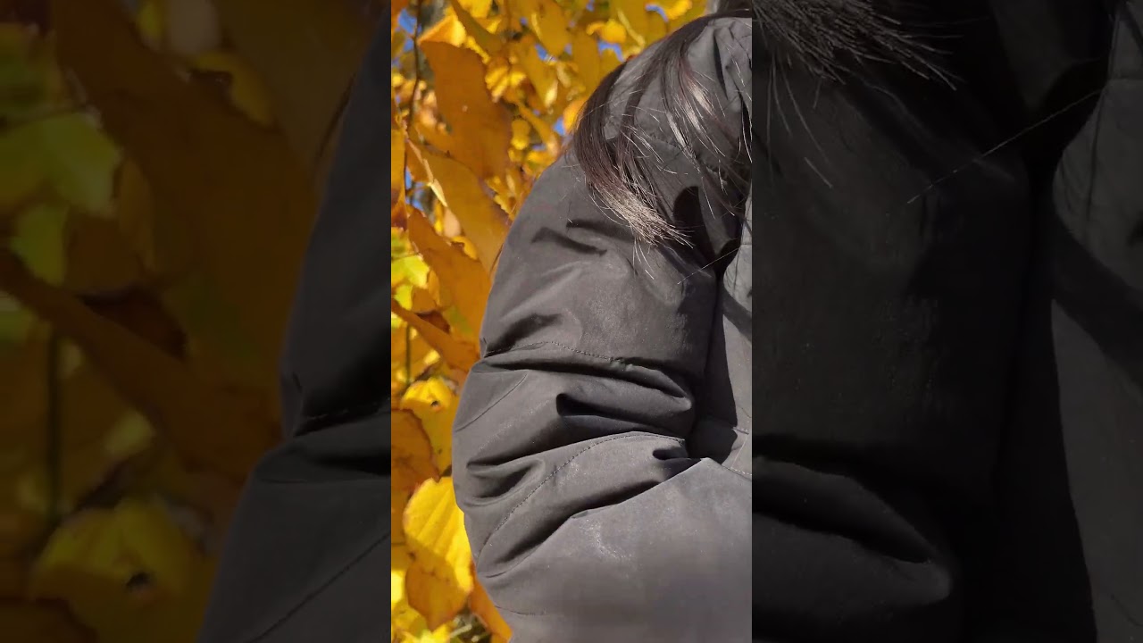 Mùa thu nước Đức . Em đứng chờ….🥰😅