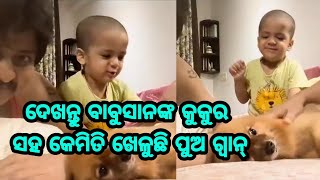 Hero Babushan Mohanty Kuni Son Guan playing with his pet dog very funny latest video