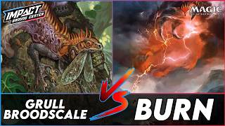Gruul Broodscale VS Boros Burn [PAPER] | Modern FNM from IGC | Round 4 | Magic: the Gathering