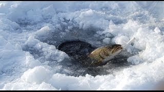 Basic tips for ice fishing