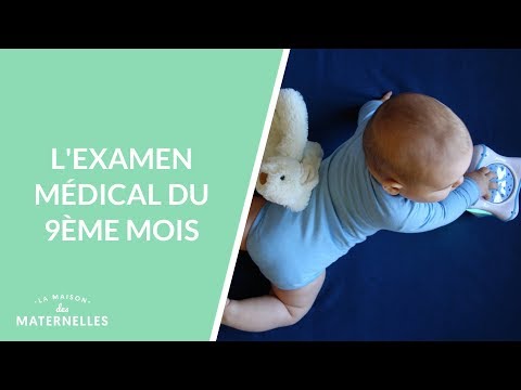 Quelle Est La Taille De L Estomac Du Bebe Youtube Quelle Est La Taille De L Estomac Du Bebe Youtube