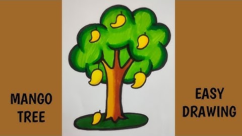 how to draw mango tree|mango tree drawing