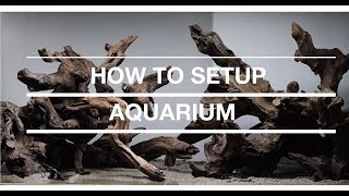 #03 Step by Step Aquascaping Tutorial (120L)