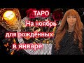 Таро прогноз на НОЯБРЬ 2025 для рождённых в январе/Для Козерогов и Водолеев рожденных в январе