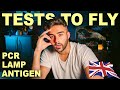 WHAT TESTS DO I NEED TO FLY | Green List Entry Requirements - U.K.