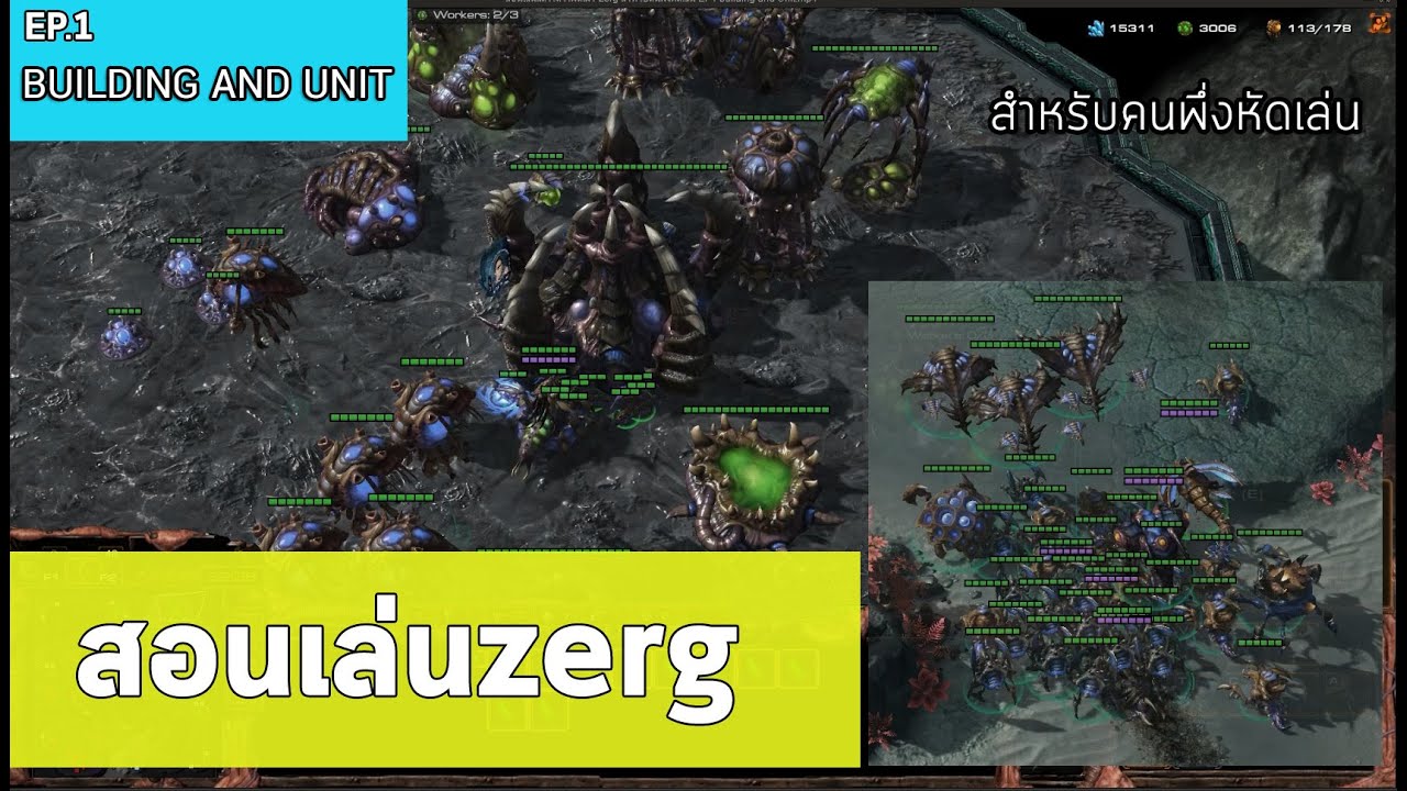 starcraft 2 วิธีเล่น  Update 2022  สอนเล่นStarcraft2 เผ่า zerg สำหรับคนพึ่งหัดเล่น EP1 building and Unit