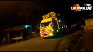 AKU TENANG *Reggae Version  by. Emily Young || COVER Versi Truk Oleng Tiga Sodara #CCTV_SODONG_SOSS