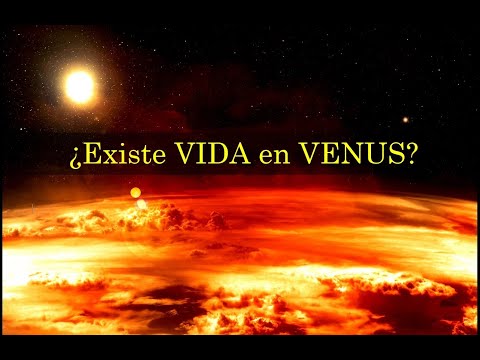 Vídeo: Los Científicos No Excluyen La Vida En Venus - Vista Alternativa