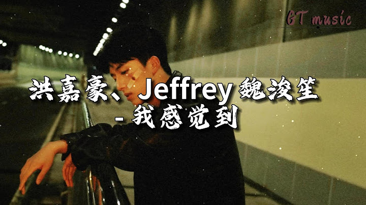 洪嘉豪/Jeffrey 魏浚笙 - 我感觉到『你我算暧昧 或愚昧，望着你跟她 常约会。』【动态歌词MV】