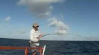 Milkfish on the fly - Kiritibati
