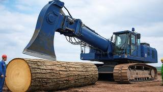 Inside How Giant Logs Are Hauled Out Of Dense Forests