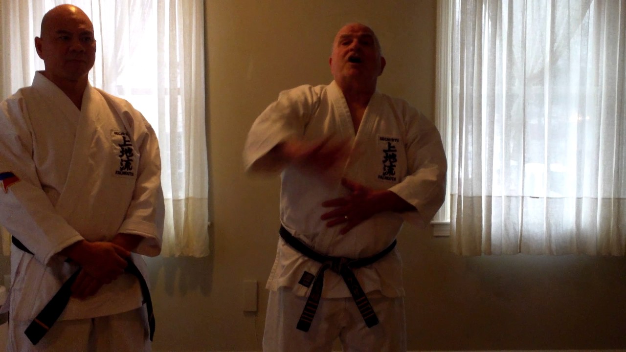 Wauke Block is the Signature Uechi Ryu karate block - YouTube