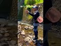 鮎が釣れる川でアユイングやってみた！#shorts #アユイング#鮎釣り