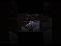 Goku edit clip owner [Ringwitdahoodie] #anime