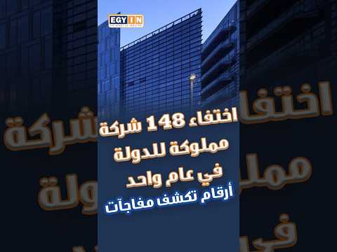 اختفاء 148 شركة مملوكة للدولة في عام واحد أرقام تكشف مفاجآت