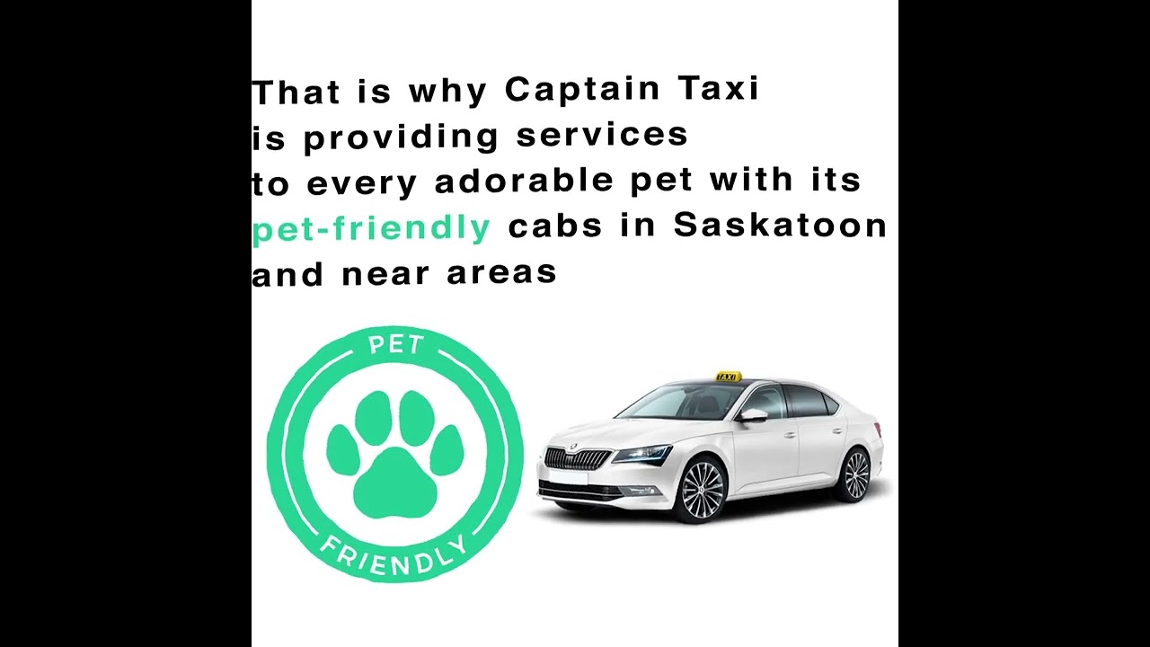 Pet-Friendly Cabs | Captain Taxi